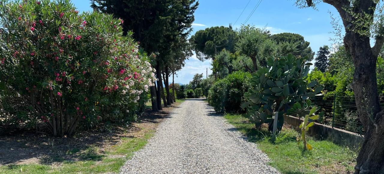 Вилла Masseria Brica Rossa Thurii Экстерьер фото